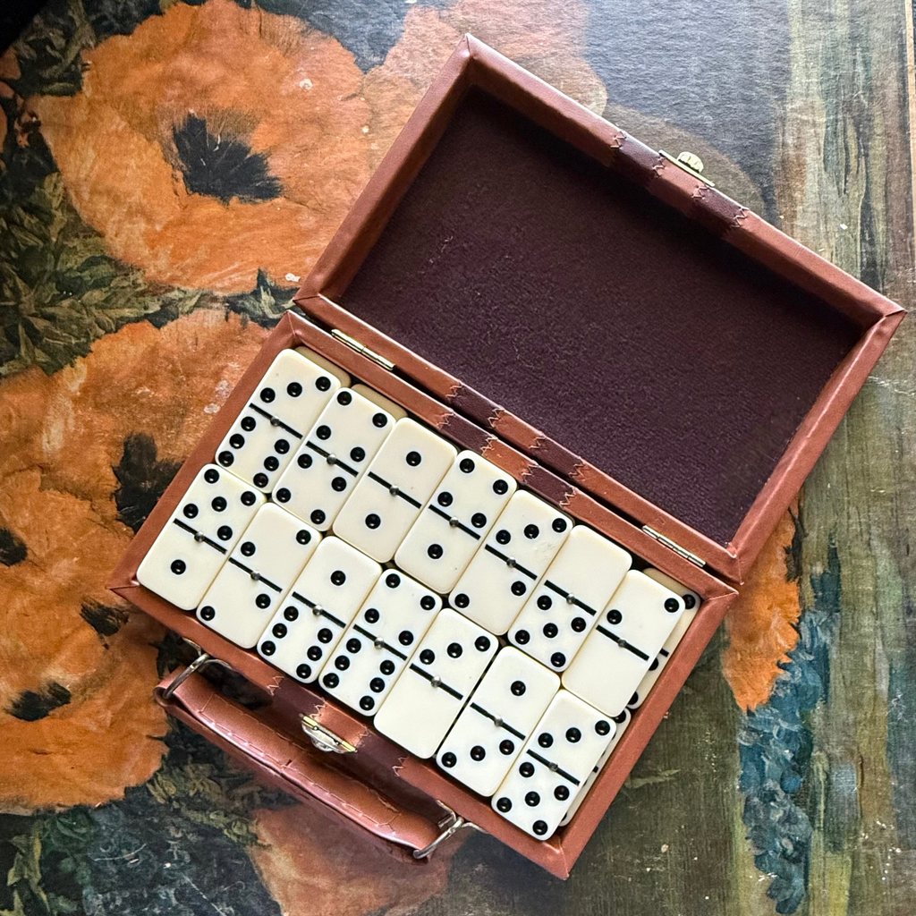 Travel Dominoes in Case