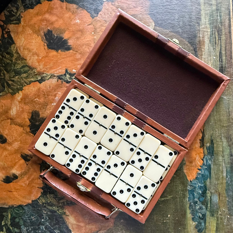 Travel Dominoes in Case