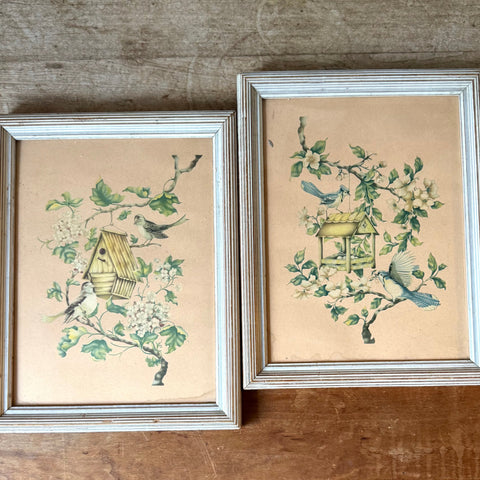 Framed Bird Prints