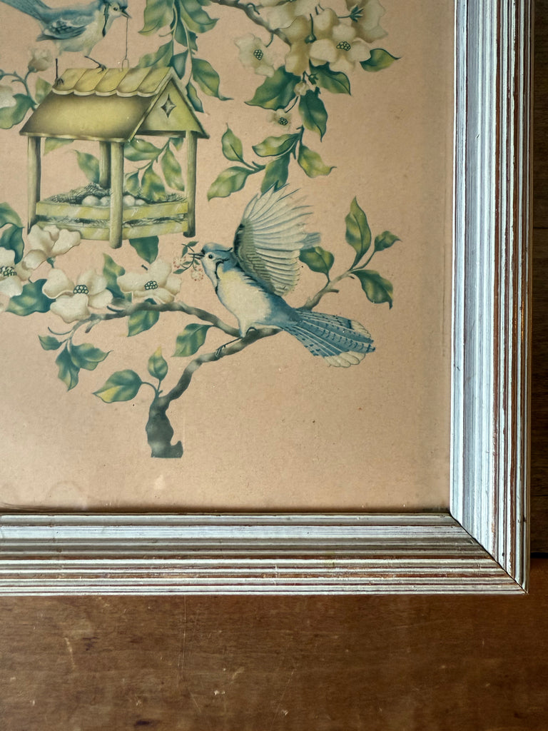 Framed Bird Prints